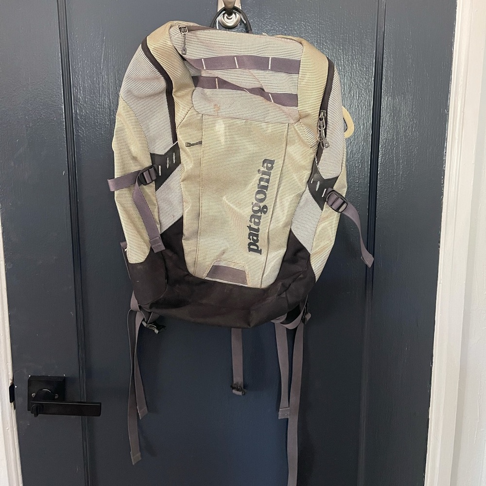 Patagonia Backpack